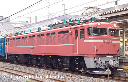 EF81 81