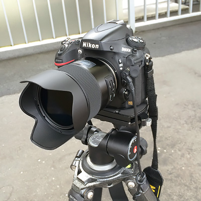Tamron F013 を装着した Nikon D800E