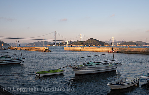 来島海峡大橋を望む大浜漁港