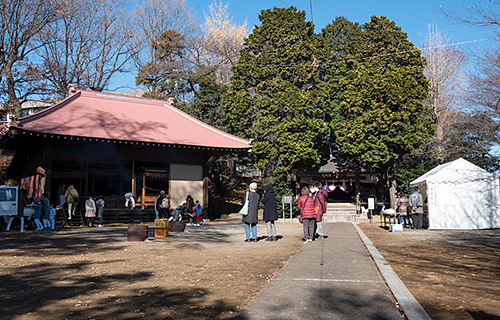 七ツ木神社の境内（右側の木陰が本殿）