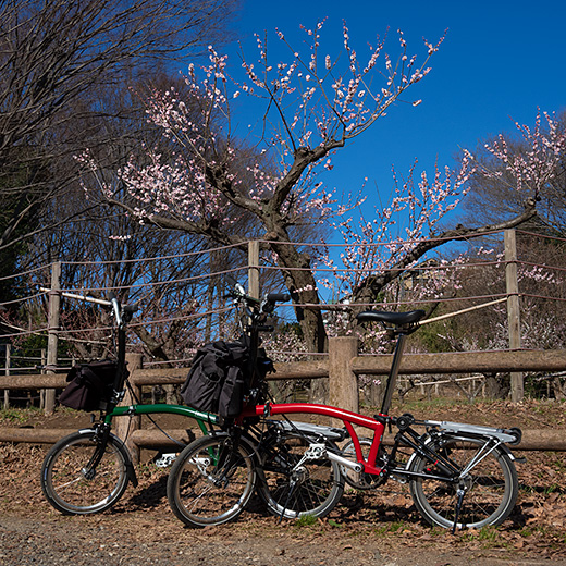 “ふれあいの森”の梅林にて記念写真（神奈川県大和市）